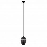 Подвесной светильник Loft IT Viterbo 10336 Black