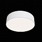 Потолочный светодиодный светильник Maytoni Zon C032CL-L32W4K