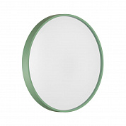 Настенно-потолочный светильник Sonex COLOR 7743/ELN