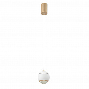Подвесной светодиодный светильник Crystal Lux Caro SP Led White
