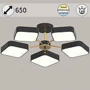 Светильник потолочный Reluce 03360-0.3-05 BK+FGD
