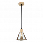 Подвесной светильник Arte Lamp LANCASTER A5891SP-1BK