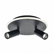 Потолочный светодиодный светильник Escada 20046SMA/02LED BK