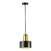Подвесной светильник Lussole Loft LSP-8699