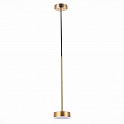 Подвесной светодиодный светильник ST Luce Pances SL6000.303.01