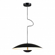 Подвесной светодиодный светильник ST Luce ARMONICO SL6502.403.01