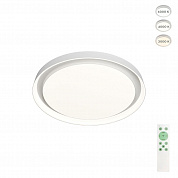 Потолочный светодиодный светильник Denkirs Cany DK6516-WH