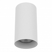 Потолочный светильник Lightstar Rullo 216486