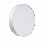 Настенно-потолочный светильник Sonex BASICA 7779/DLN