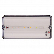 Светильник пылевлагозащищенный Uniel ULW-K25B 6W/4000K/EMG IP65 BLACK