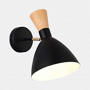 Настенный светильник EVOLUCE SLE1256-401-01