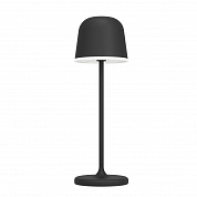 Настольная светодиодная лампа Eglo Mannera 900457