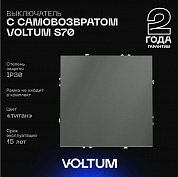 Выключатель с самовозвратом встраиваемый Voltum S70 одноклавишный 10А, (титан) VLS010606