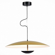 Подвесной светодиодный светильник ST Luce ARMONICO SL6502.213.01