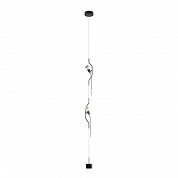 Подвесной светильник Loft IT Parentesi 10346/2 Black