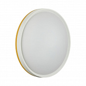 Настенно-потолочный светодиодный светильник Sonex Color Kezo Yellow 7709/DL