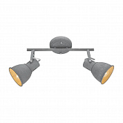 Спот Arte Lamp A1677PL-2GY