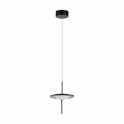 Подвесной светодиодный светильник Odeon Light Steka 5012/10L