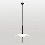 Подвесной светильник Lussole Loft Irvine LSP-8949