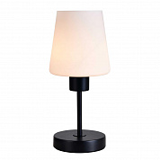 Настольная лампа Escada CLARITY ES0002707