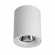 Потолочный светодиодный светильник Elvan NLS-584-12W-NH-Wh