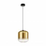 Подвесной светодиодный светильник Freya Ida FR6133PL-L4G