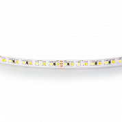 Светодиодная лента Lightstar 20W/m 168LED/m белый 5M 420820