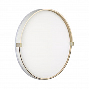 Настенно-потолочный светильник Sonex OLIDI WHITE 7646/DLN