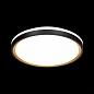 Настенно-потолочный светодиодный светильник Sonex Pale Klapa 3045/DL