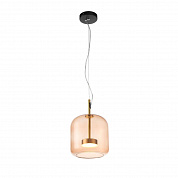 Подвесной светодиодный светильник ST Luce Palochino SL1053.273.01