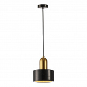 Подвесной светильник Lussole Loft LSP-8698