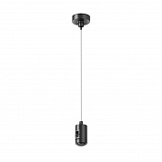 Подвес Maytoni Flarity TRA157SW-S1-B